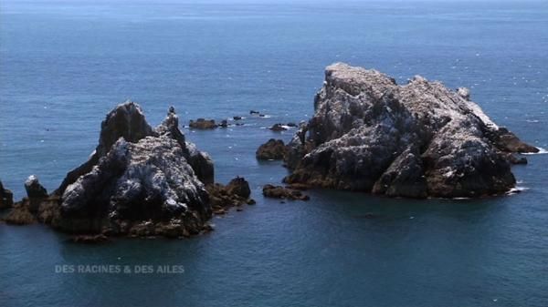 Les îles Anglo Normandes dans les médias Français