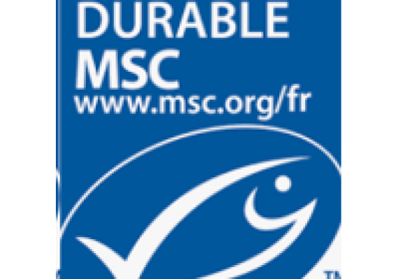 Jersey and Cotentin once again certified for their sustainable lobster fishing