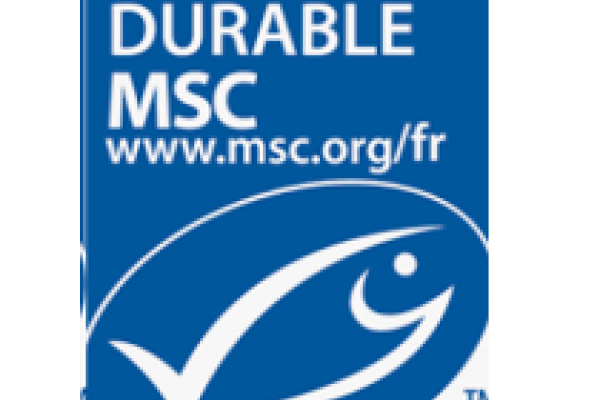 Jersey et le Cotentin à nouveau certifiées pêche durable sur le homard